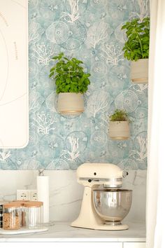 a kitchen counter topped with a mixer and two potted plants on top of it