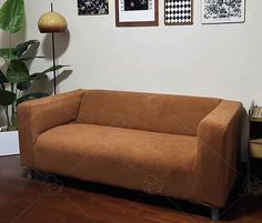 a brown couch sitting on top of a wooden floor next to a potted plant