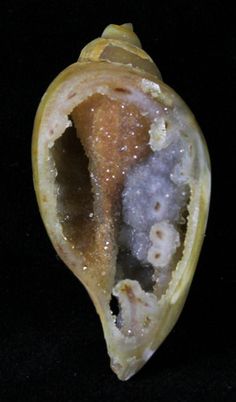 the inside of an orange peel with some white stuff in it on a black surface