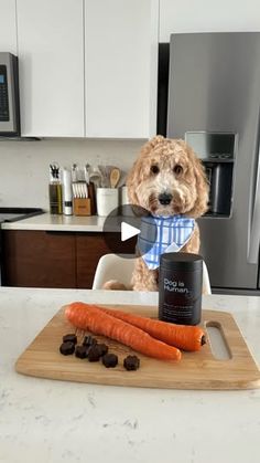 a dog sitting on a kitchen counter next to some carrots