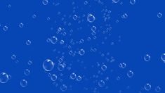 bubbles floating in the air on a blue background