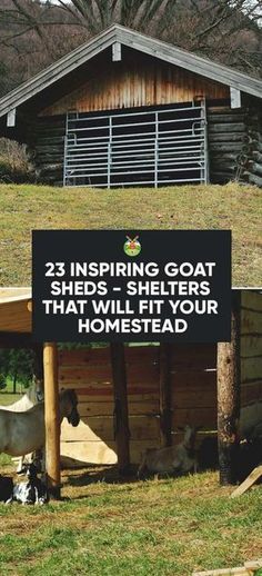 there is a sign that says, 25inspring goat feed they will fill your homestead