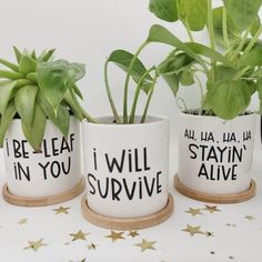 three planters with plants in them that say i will survive and be leafy, you'll stay alive