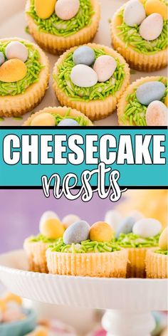 there is a plate with small cakes on it and the words cheesecake nests