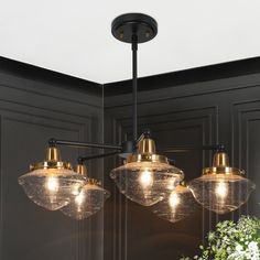 three lights are hanging from the ceiling in a room with black walls and white flowers