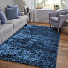 a living room filled with furniture and a blue rug