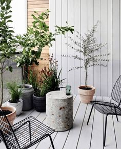 several potted plants and chairs on a wooden deck in front of a white wall