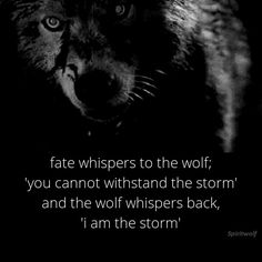 a wolf with the quote fate whispers to the wolf you cannot't understand the storm and the wolf whispers back, i am the storm