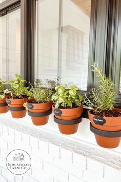 there are many potted plants on the window sill