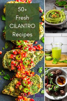 the collage shows different types of food on plates and in bowls, with text overlay that reads 50 fresh cilantro recipes