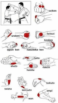 an instruction poster showing how to do the karate moves in different positions, with instructions for each