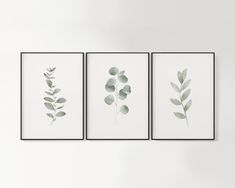 three green leaves are hanging on the wall in front of a white wall and two black frames