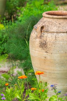 an old clay pot sitting in the middle of a garden with wildflowers around it