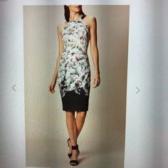 A Pencil Dress With A Round Halter-Neck Shape And Beautiful Lace Panelling In The Back. The Floral Black, White, Grey And Pink Print Gives Plenty Of Opportunity To Mix Up Accessories, While The Concealed Zip Gives A Smooth, And Sharp Finish. This Can Be Easily Dressed Up Or Down With A Blazer Or Cardigan, Heels Or Sandals. Elegant Printed Floral Dress For Brunch, Sleeveless Bodycon Floral Print Dress, Sleeveless Printed Cocktail Dress, Chic Sheath Dress With Floral Print, Sleeveless Bodycon Dress With Floral Print, Chic Fitted Printed Midi Dress, Elegant Printed Sheath Dress, Elegant Sheath Printed Dresses, Spring Evening Printed Midi Dress