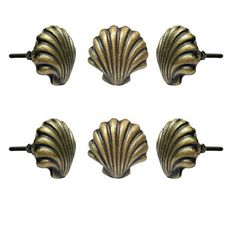 four antique brass sea shell knobs on white background