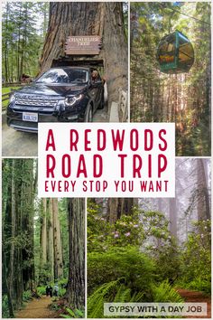 the cover of a road trip is shown with trees, cars and people on it