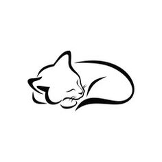 a black and white cat sleeping on its side