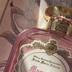 Santa Maria Novella Perfume, Magnolia Aesthetic, Oddly Aesthetic, Maria Aesthetic, Classical Romance, Villa Medici, Magnolia Grandiflora, Harry Potter Oc