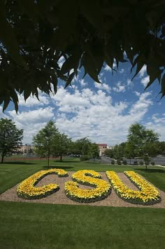 there is a large sign made out of yellow flowers in the middle of a field