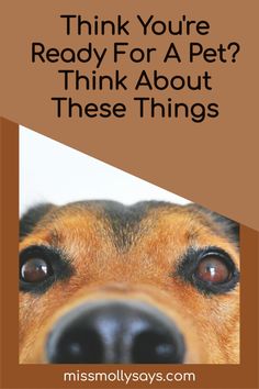 a dog with the words think you're ready for a pet? think about these things