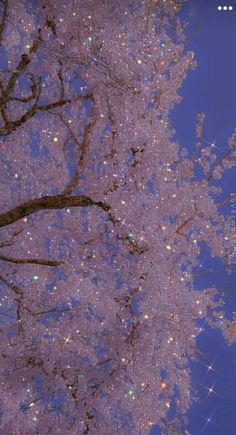 the sky is full of stars and there are many trees in bloom with purple flowers