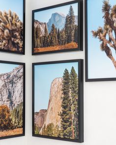 Gallery wall with posters from the Yosemite & Joshua Tree Collections featuring mountain  and desert landscapes. Desert Landscape