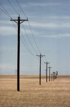 an empty field with power lines and telephone poles in the foreground, against a blue sky