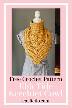 the free crochet pattern for this neck scarf