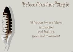 a feather with the words falcon feather magic written on it's side and an image of