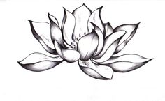 a black and white drawing of a lotus flower