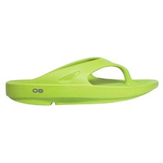 These Oofos, OOriginal Flip Flop Thong Sandals will make your feet comfortable when you try these sandals!. $24.95 Green Single Toe Strap Flip Flops For Beach, Green Toe Post Flip Flops For Beach, Green Flip Flops With Arch Support For Summer, Green Toe Post Flip Flops For Summer, Green Beach Slides With Arch Support, Sandals Casual, Casual Sandals, Shoe Store, Thong Sandals