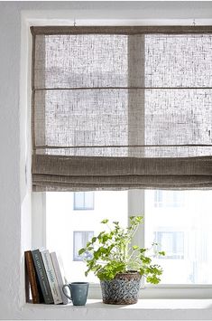 a potted plant sitting on top of a window sill next to a book shelf