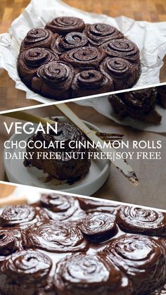 chocolate cinnamon rolls with dairy free frosting on top