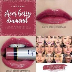 Lipsence Lip Colors, Lip Gloss Colors