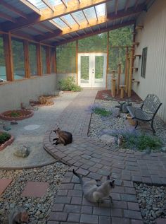 two cats are laying on the ground in front of a building with a glass roof