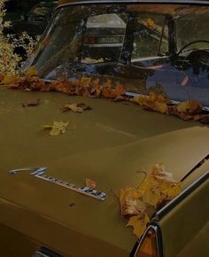 an old car with leaves on the hood