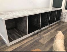 a dog is standing in front of a large white counter with black baskets on it