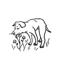 Easy Dog Resting in Floral Field (free printable PDF black-and-white line drawing idea suitable for all, from beginners to advanced learners, including children, teens, adults, and seniors) Self Portrait Drawing, Floral Field