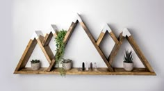 three wooden shelves with plants and rocks on them