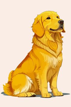 Discover the charm of a Golden Retriever in this vector illustration. Ideal for pet lovers and design enthusiasts. High-quality dog art in vector graphic style, perfect for a wide range of creative projects. Get this heartwarming canine companion in detailed vector format. Dnd Familiar, Cartoon Golden Retriever, Golden Retriever Swimming, Golden Retriever Mix Puppies, Golden Retriever Cartoon, Golden Retriever Illustration, Golden Retriever Drawing, Husky Drawing, English Golden Retrievers