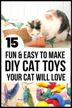 cat toys with the title 15 fun and easy to make diy cat toys your cat will love