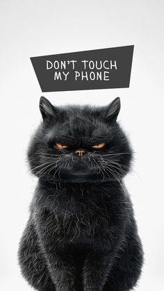 a black cat with a sign above its head that says don't touch my phone