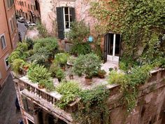 an old building with many plants growing on the balcony and windows above it, along with other buildings