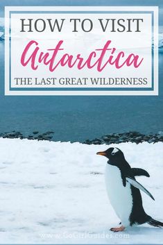 a penguin standing in the snow with text overlay reading how to visit antartica the last great wilderness