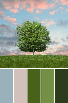 a green tree in the middle of a field with blue sky and clouds behind it