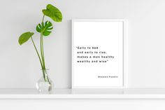 a plant in a glass vase next to a framed print with the quote, early to bed and early to rise, makes a man healthy weighty and wise