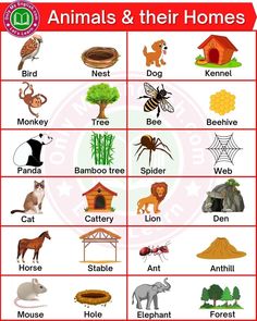 an animal and their homes poster with the words, animals and their names in english