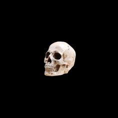 a human skull is shown against a black background