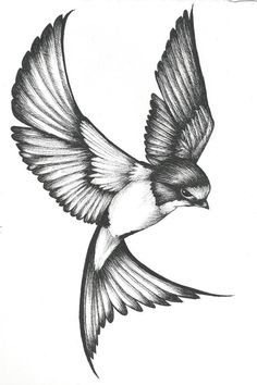 a black and white drawing of a bird flying