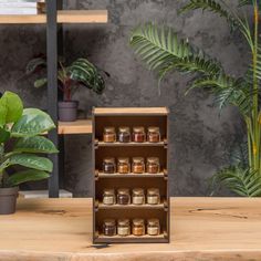 a wooden shelf filled with jars on top of a table next to a potted plant